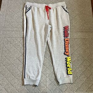 Walt Disney World Joggers Womens Size 1X Gray Sweatpants Drawstring Pockets